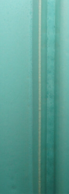 Texturas de LONGOTON®