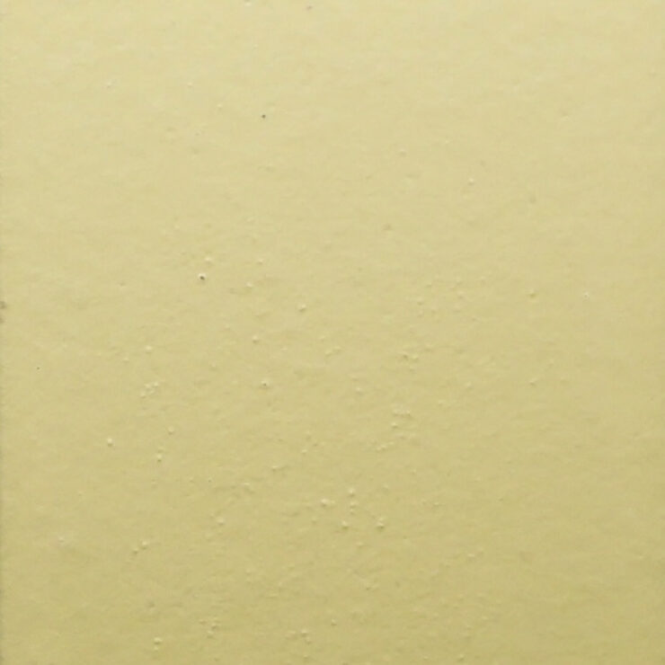 MOEDING  Caja de muestra