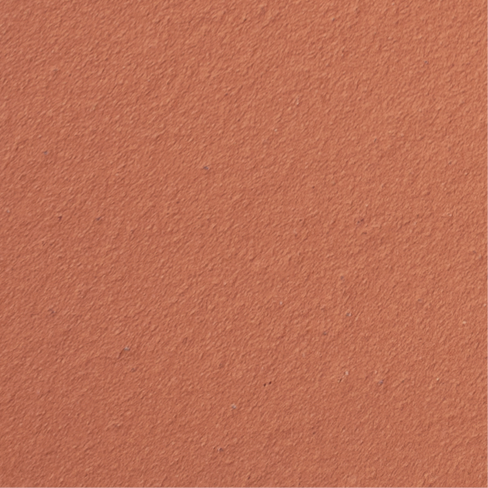LONGOTON® ZIEGELROT